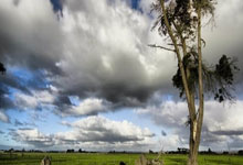 中欧体育：当前呼吸道疾病防治十大热点问答.