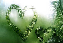 中欧体育：巴爾韋德：貝林厄姆成就不可思議，夢想一直想成為皇家馬德裏隊長.