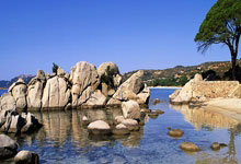 中欧体育：克林斯曼怒斥球隊表現，直言迎戰沙特需改進防守！.